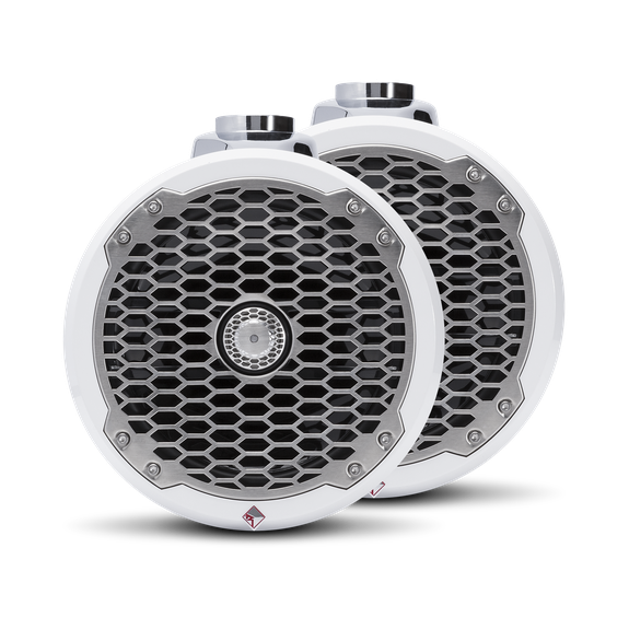 Front View of Speakers with Mesh Grille